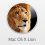 Mac OS X Lion 10.7.2