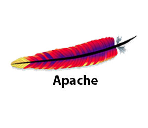 Apache HTTP Server 2.4.41