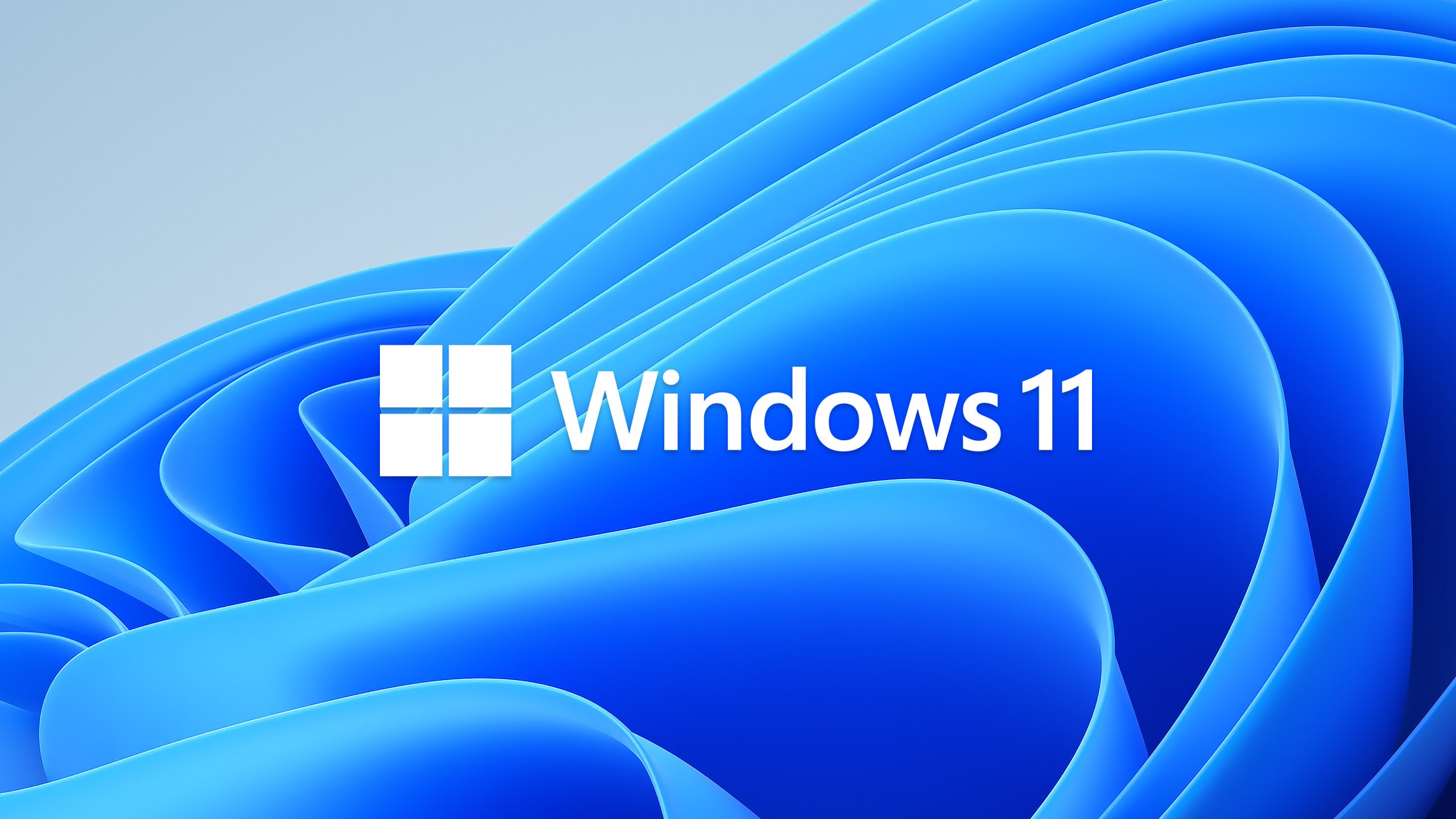 Windows 11 Free Download Logo